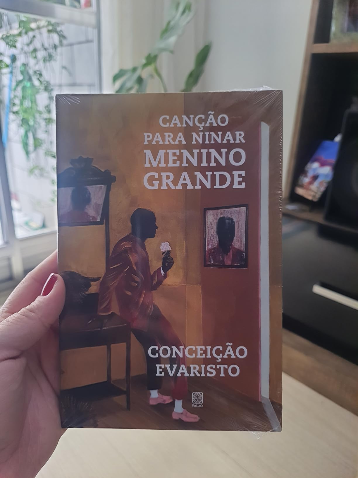 Canção para ninar menino grande